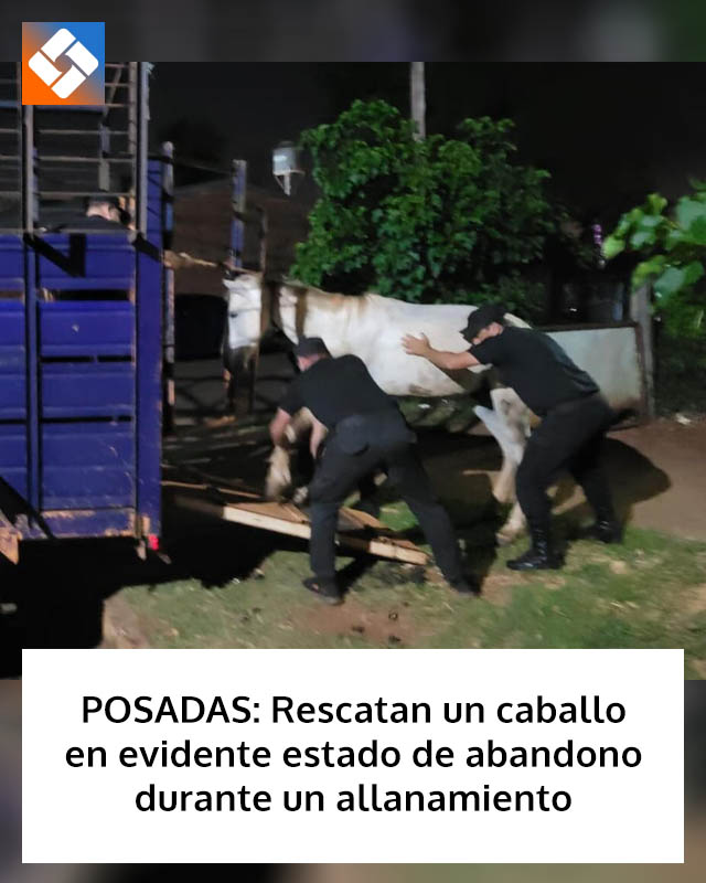 POSADAS: Rescatan un caballo en evidente estado de abandono durante un allanamiento