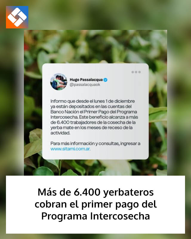 Más de 6.400 yerbateros cobran el primer pago del Programa Intercosecha