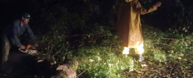 ELDORADO: Tras el temporal, despejaron calles por caída de árboles y ramas