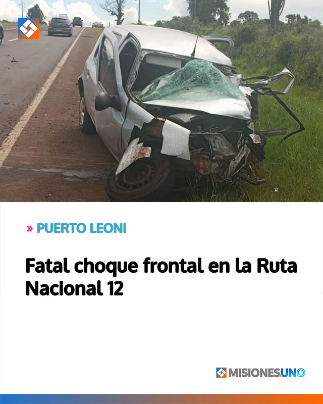 PUERTO LEONI: Fatal choque frontal en la Ruta Nacional 12