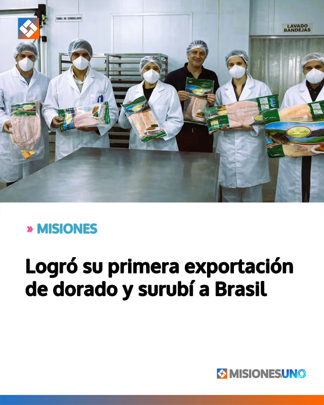 MISIONES: Logró su primera exportación de dorado y surubí a Brasil