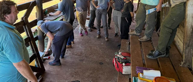 ARISTÓBULO DEL VALLE: Capacitan a profesionales en inseminación artificial bovina