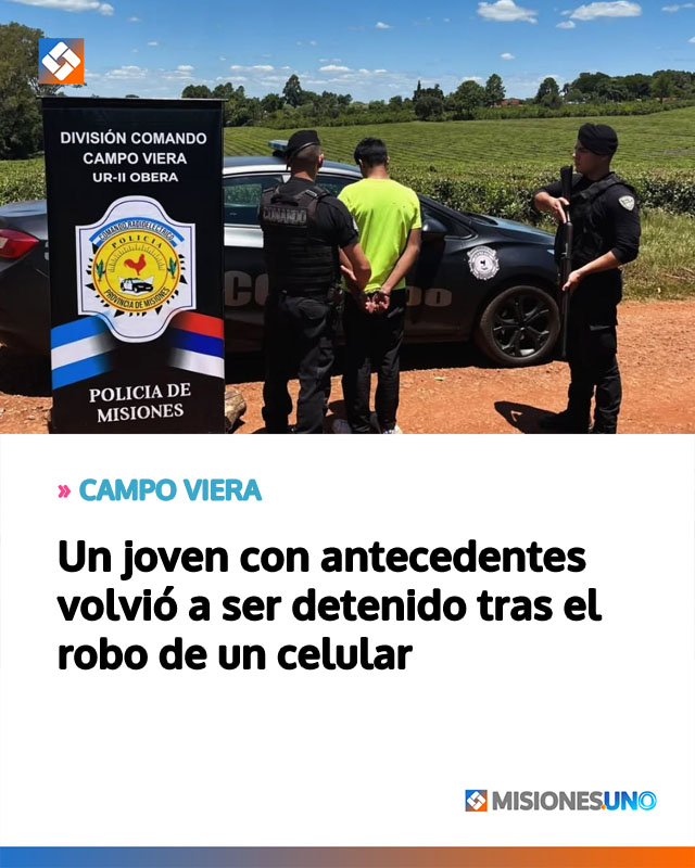 Un joven con antecedentes volvió a ser detenido tras el robo de un celular