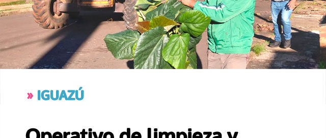 IGUAZÚ: Operativo de limpieza y mantenimiento en los barrios para mejorar espacios públicos