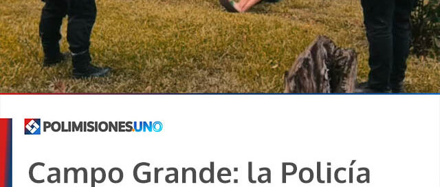 Campo Grande: la Policía esclareció tres hechos delictivos y detuvo a un sospechoso